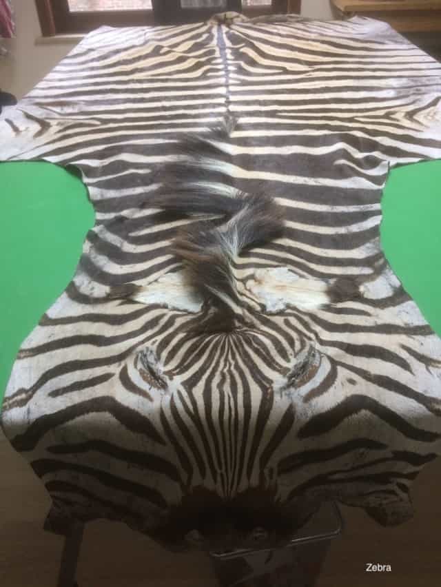 re koop zebra 3